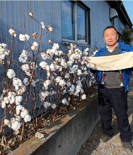 綿のマフラーを手に綿花と並ぶ清水さん