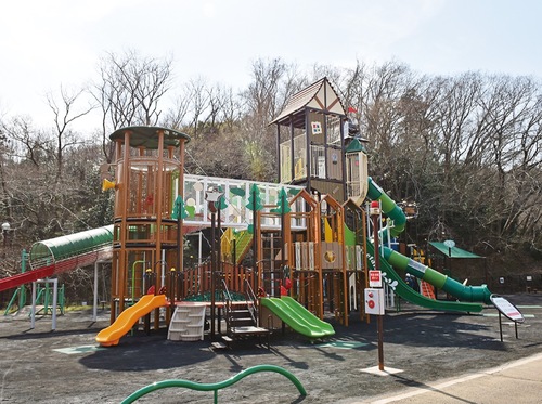 園内の新しい遊具