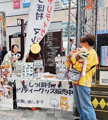 過去の街頭イベントの様子