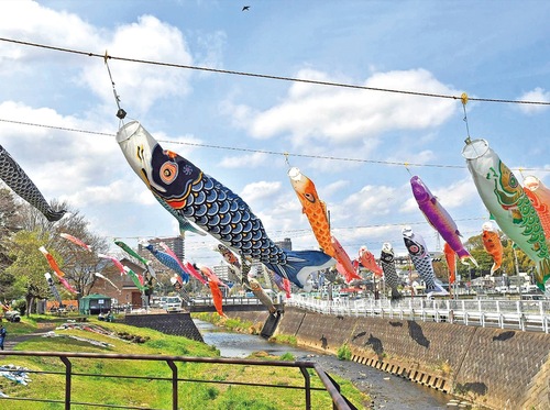 風を受けてたなびく鯉のぼり