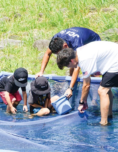 小川に設置されたニジマスつかみ場