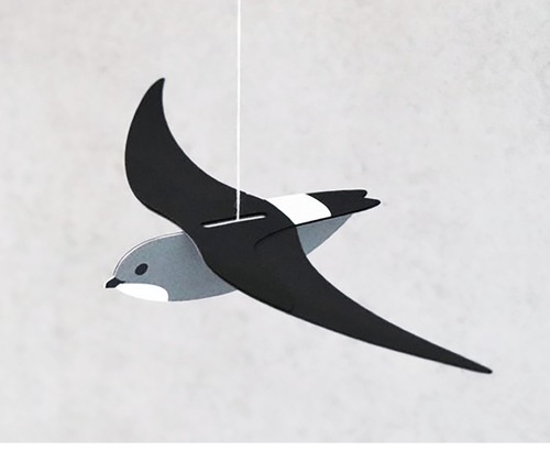 ヒメアマツバメのクラフト