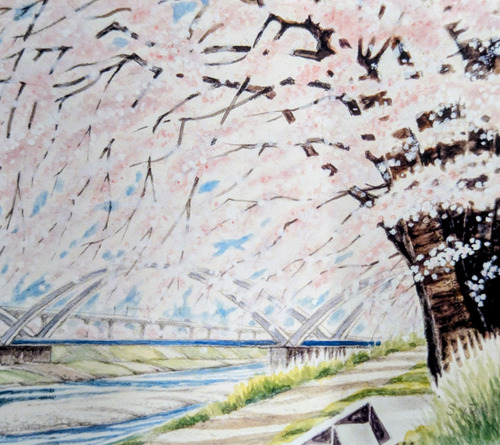 榊原さんの「あゆみばし桜のカーテン」