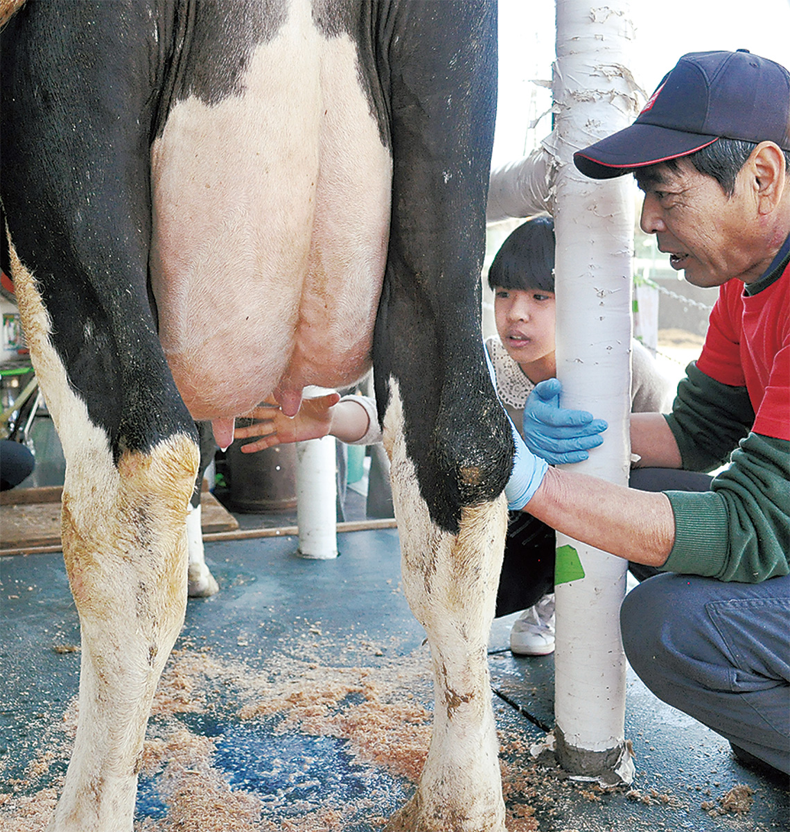 小鮎小でドキドキ乳搾り 市内酪農家らが出前授業 厚木 愛川 清川 タウンニュース 小鮎小でドキドキ乳搾り 市内酪農家らが出前授業 厚木 愛川 清川 タウンニュース
