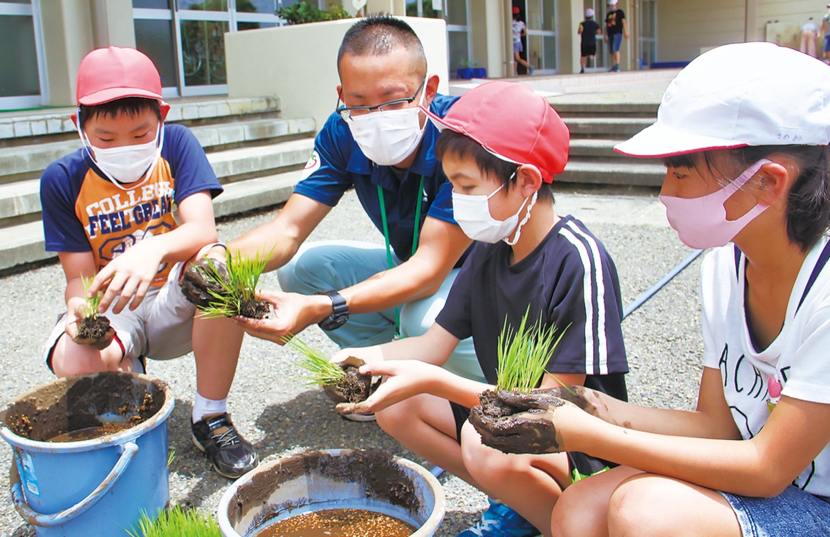 バケツ稲で田植え体験