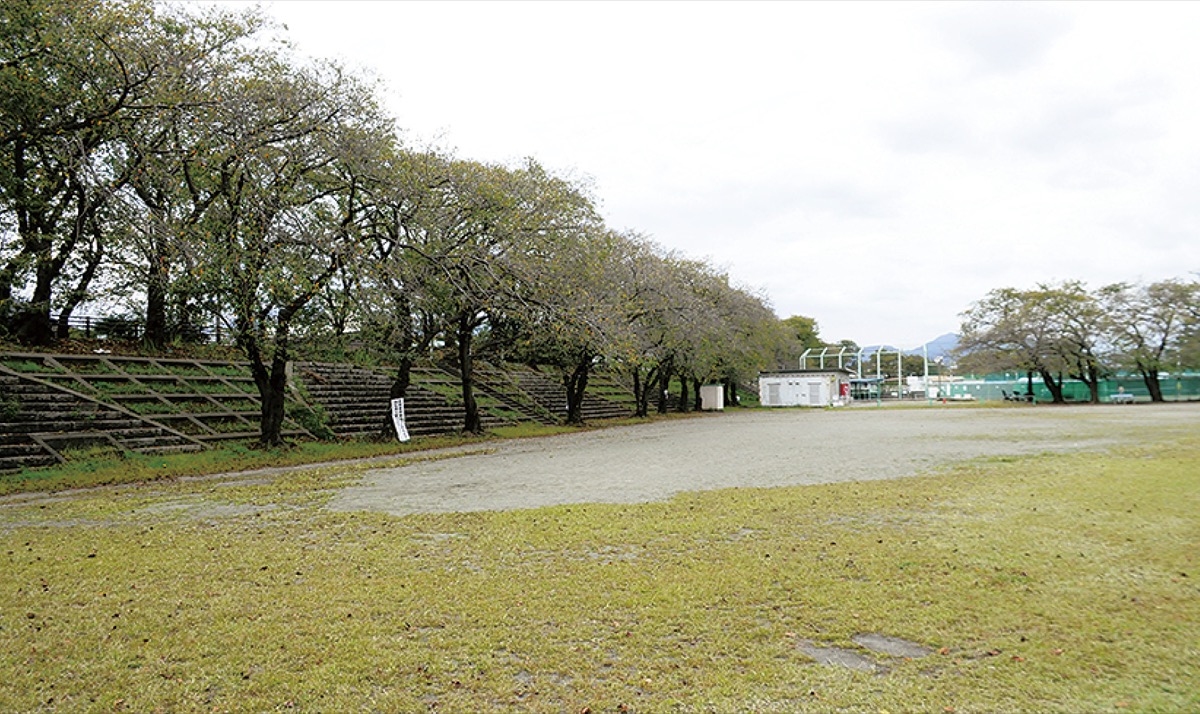 厚木市環境みどり公社 剪定枝を堆肥化して販売 環境に配慮し資源化推進 厚木 愛川 清川 タウンニュース