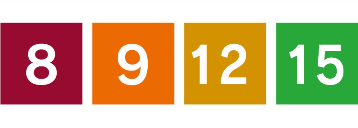 きっかけは環境問題 (写真2)