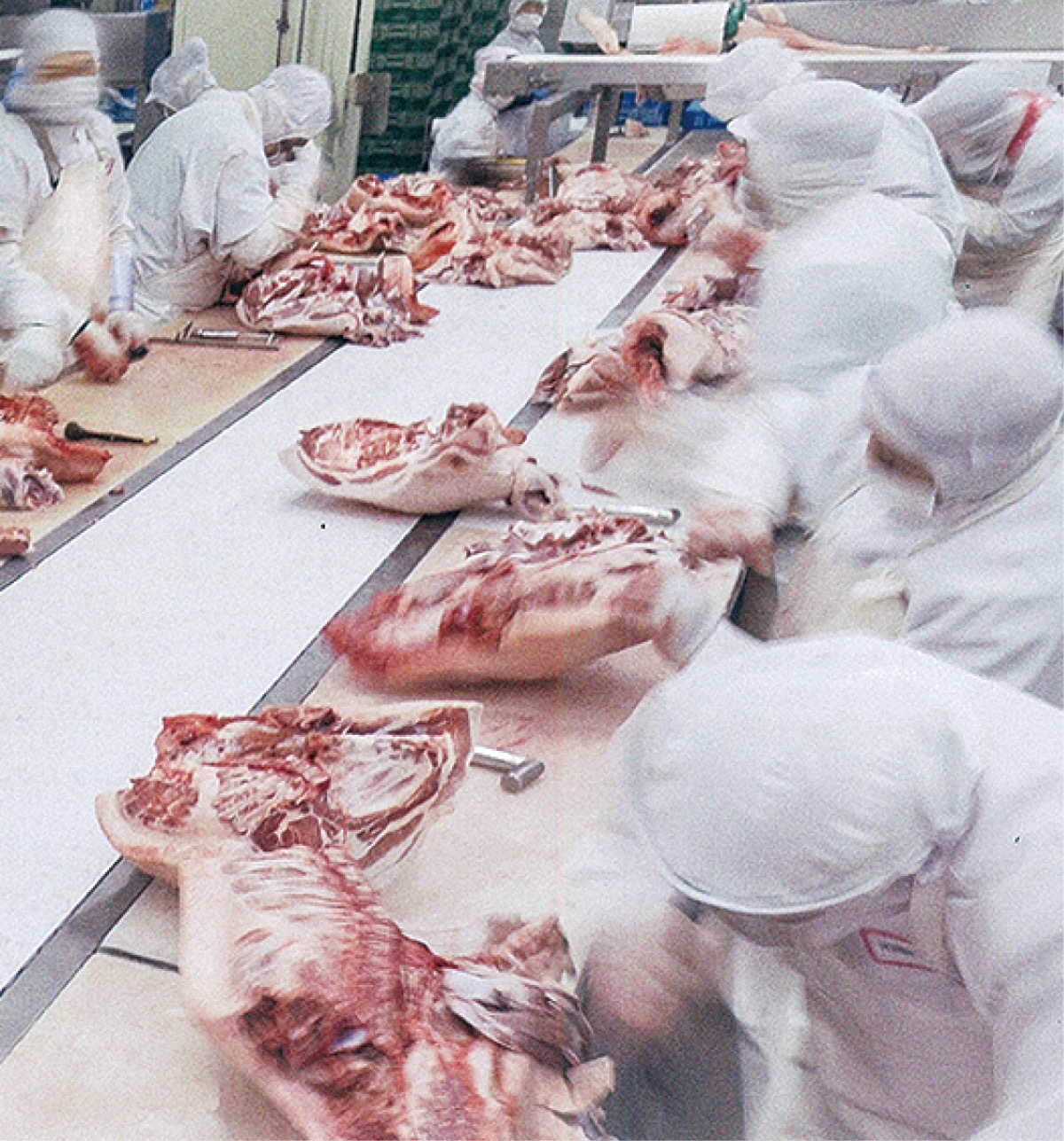 作業は分業化されている