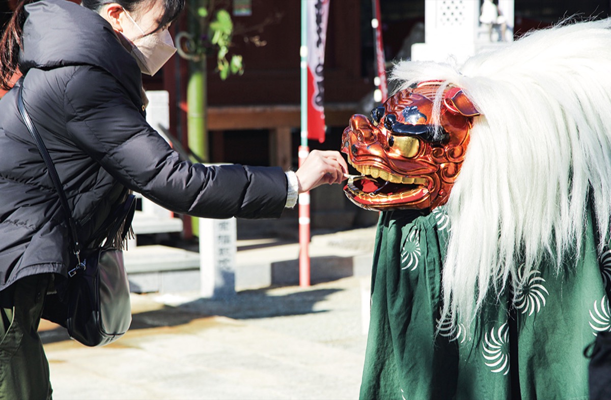 獅子舞で 骨董市 盛り上げ ２月27日 日 厚木神社で 厚木 愛川 清川 タウンニュース