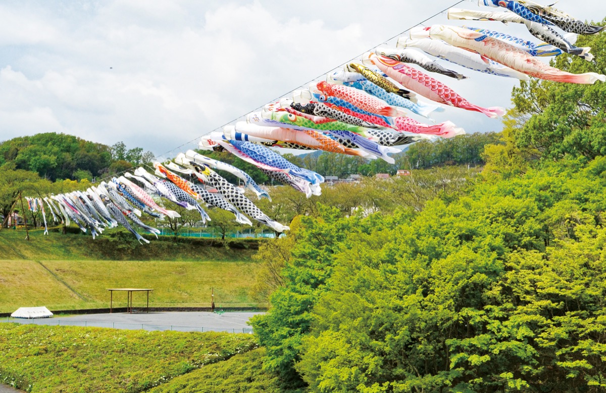 ３年ぶりの風物詩 若宮公園で鯉のぼり | 厚木・愛川・清川 | タウンニュース