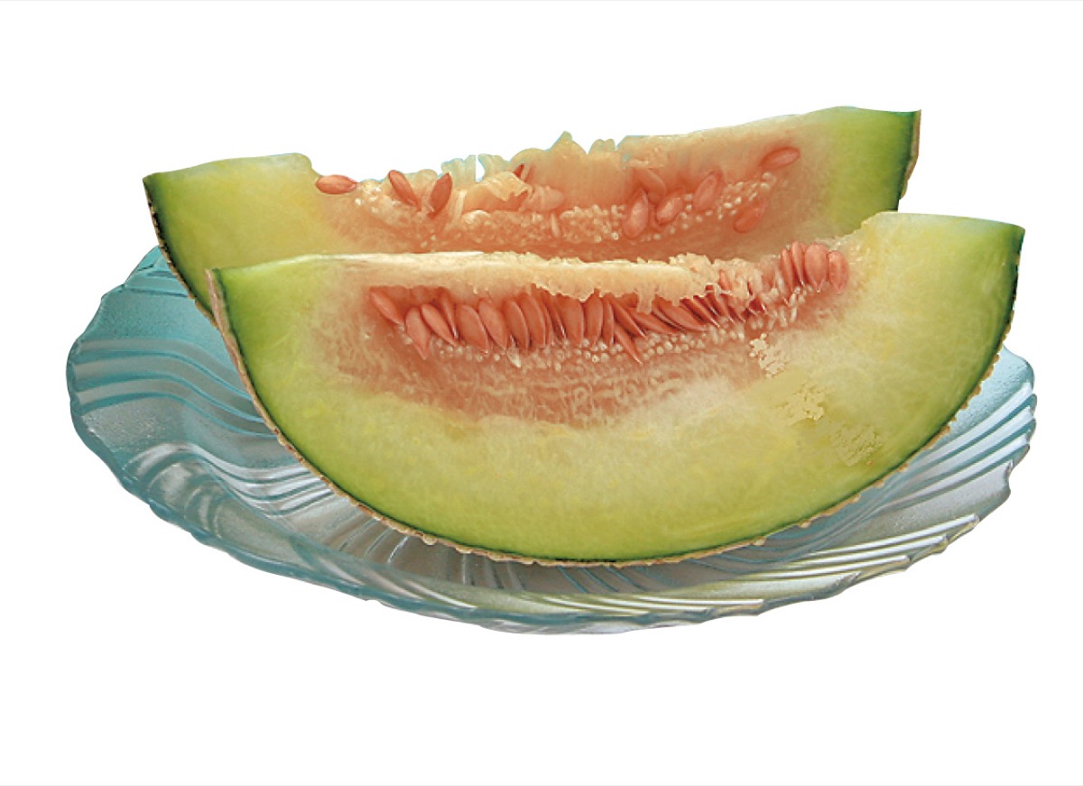 ｢あつぎメロン｣