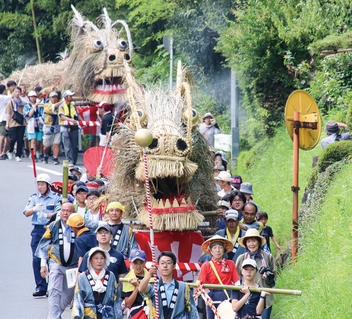 雌雄2頭のパレード（過去開催・清川村提供）