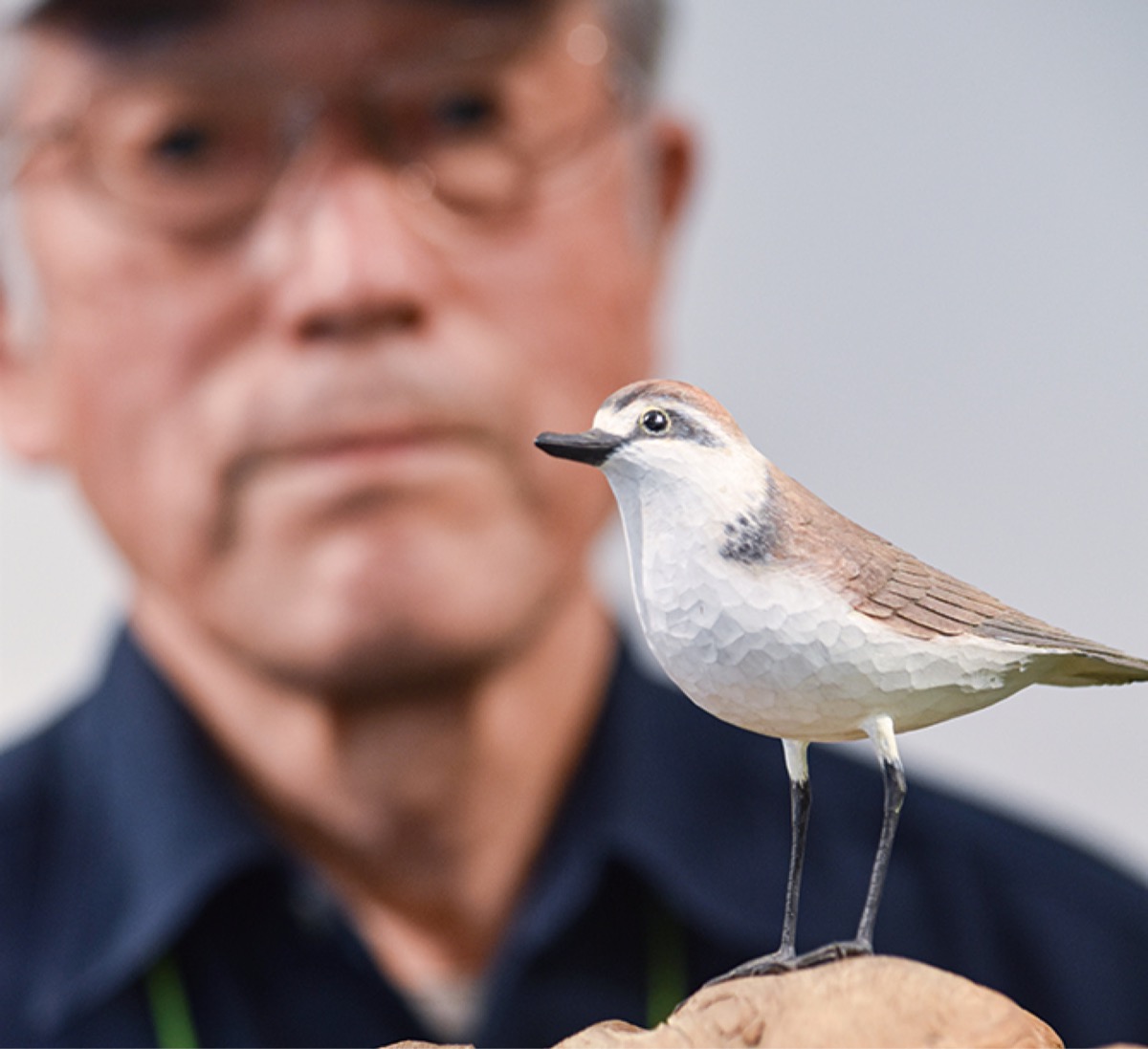 鳥（リアル） Amazon.co.jp: 音声制御シミュレーション鳥 かわいい 鳥のさえずり