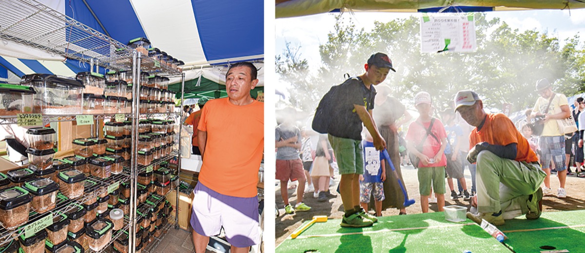 鮎まつりでの昆虫販売とパターゴルフ