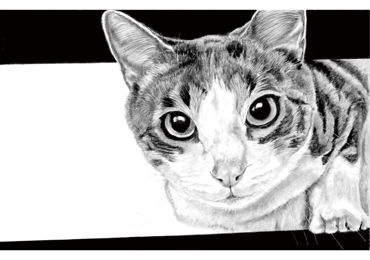 写真超える鉛筆画 鳶尾のもりや亭で展示 | 厚木・愛川・清川 | タウン