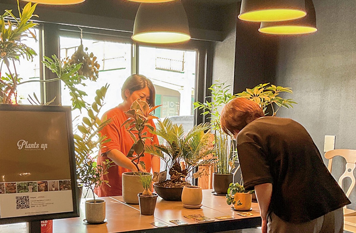 観葉植物の魅力を伝える 市内ほか18店舗で展開 | 厚木・愛川・清川