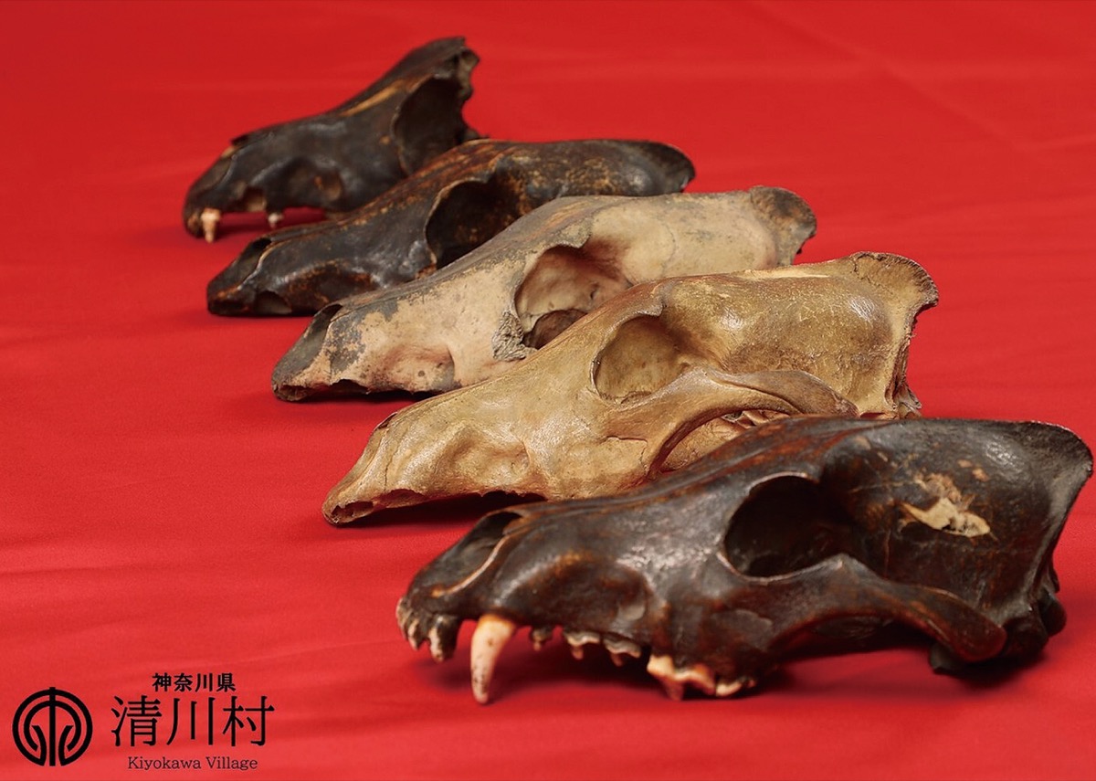 44年ぶり重文指定へ