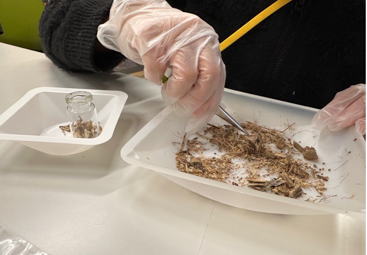 フクロウの生態を探る