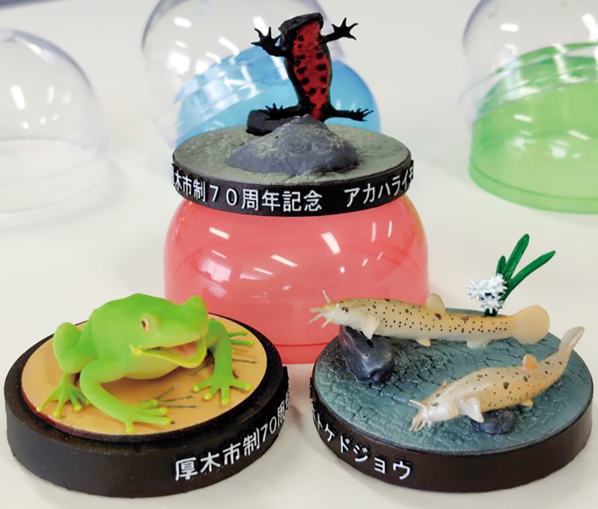 自然の大切さ学ぶ