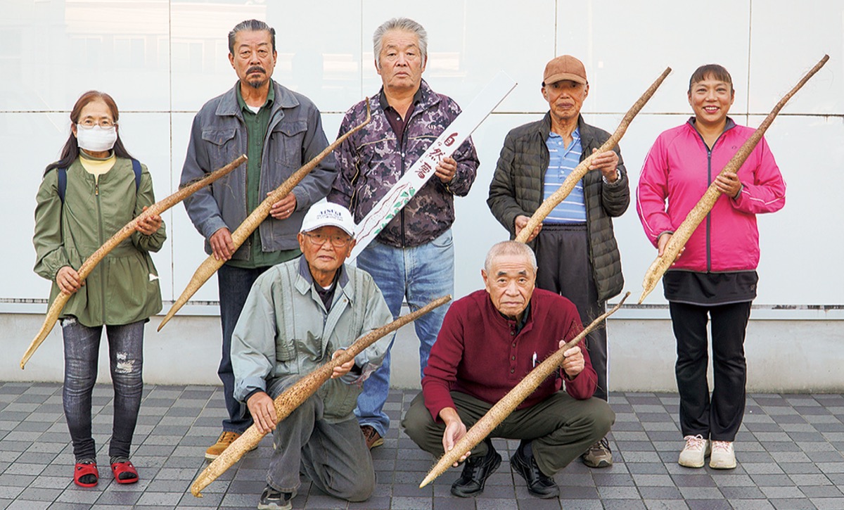 自然薯の出荷始まる