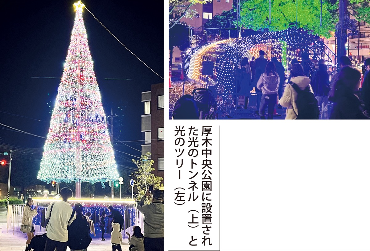 冬を彩る光の公園