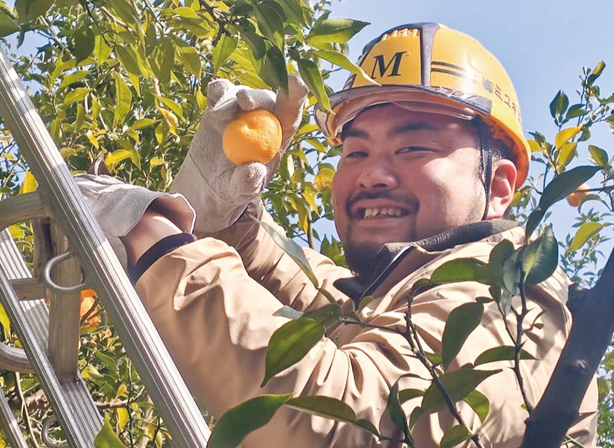 清川の新名物を開発 (写真2)