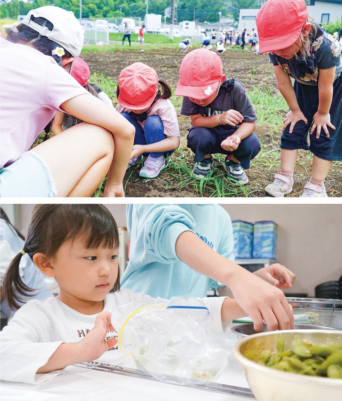 上荻野小児童との大豆の種まき（上）と調理実習の様子