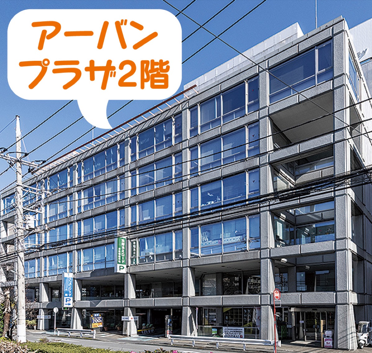 厚木市にただ一つ 認可の夜間保育園 (写真2)