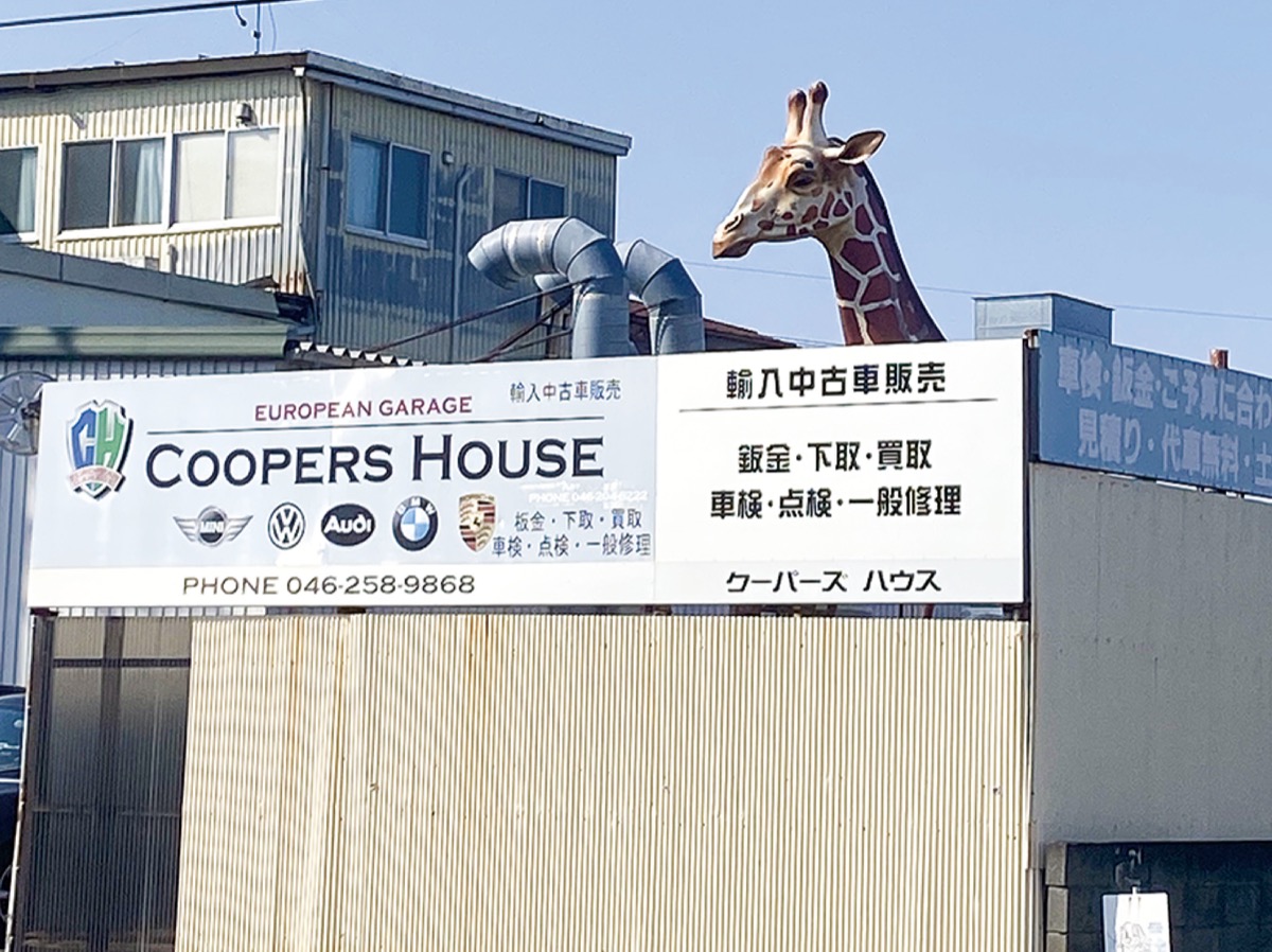 今週の一枚