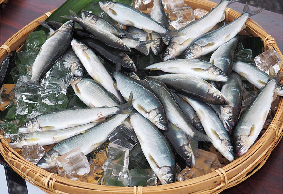 試し釣りでは上々の成果が