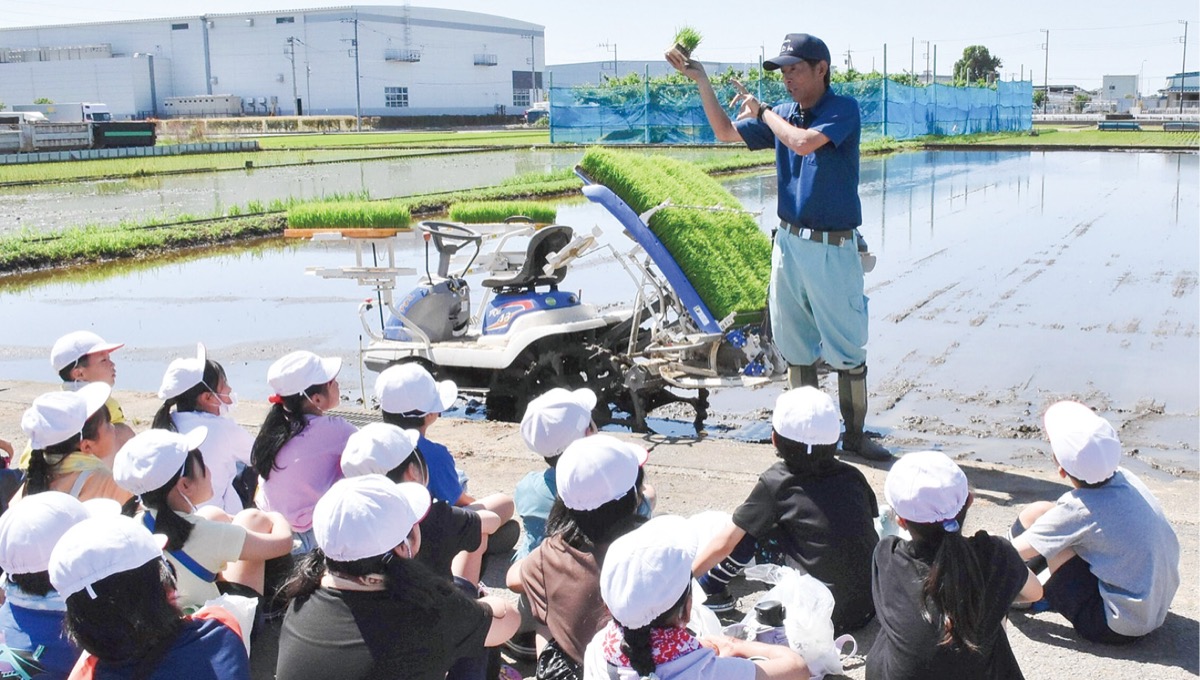 田植えについて学ぶ