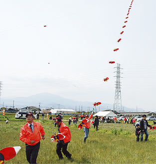 昨年の凧揚げ大会。40枚以上の連凧が揚がった