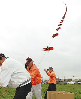 昨年の連凧通常のせみ凧は無料で貸し出す