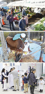 昨年の農業まつり（上）、畜産まつり（中）、病院文化祭（下）の様子