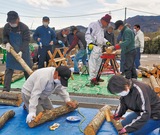 しいたけを植菌