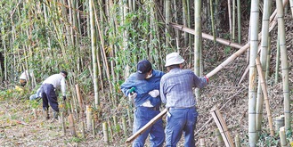 竹を伐採する地元有志ら