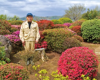 １千株以上のツツジが鮮やかに咲き誇る。「ぜひお越し下さい」と杉山代表