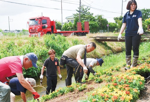 渋田川の土手に植栽するＲＣメンバーら