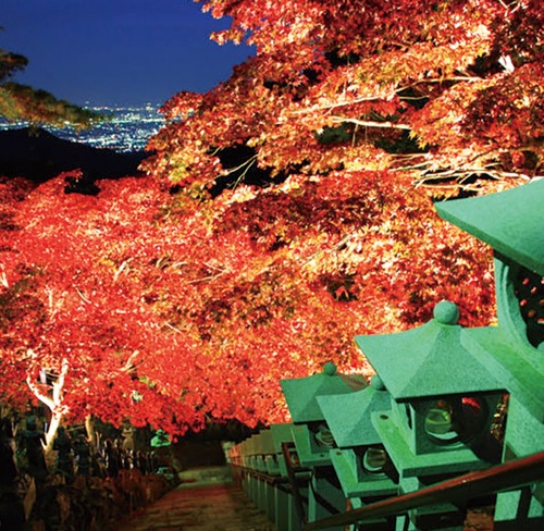 大山寺の紅葉（写真は過去）
