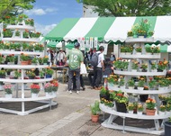 草花が彩る潤いの週末