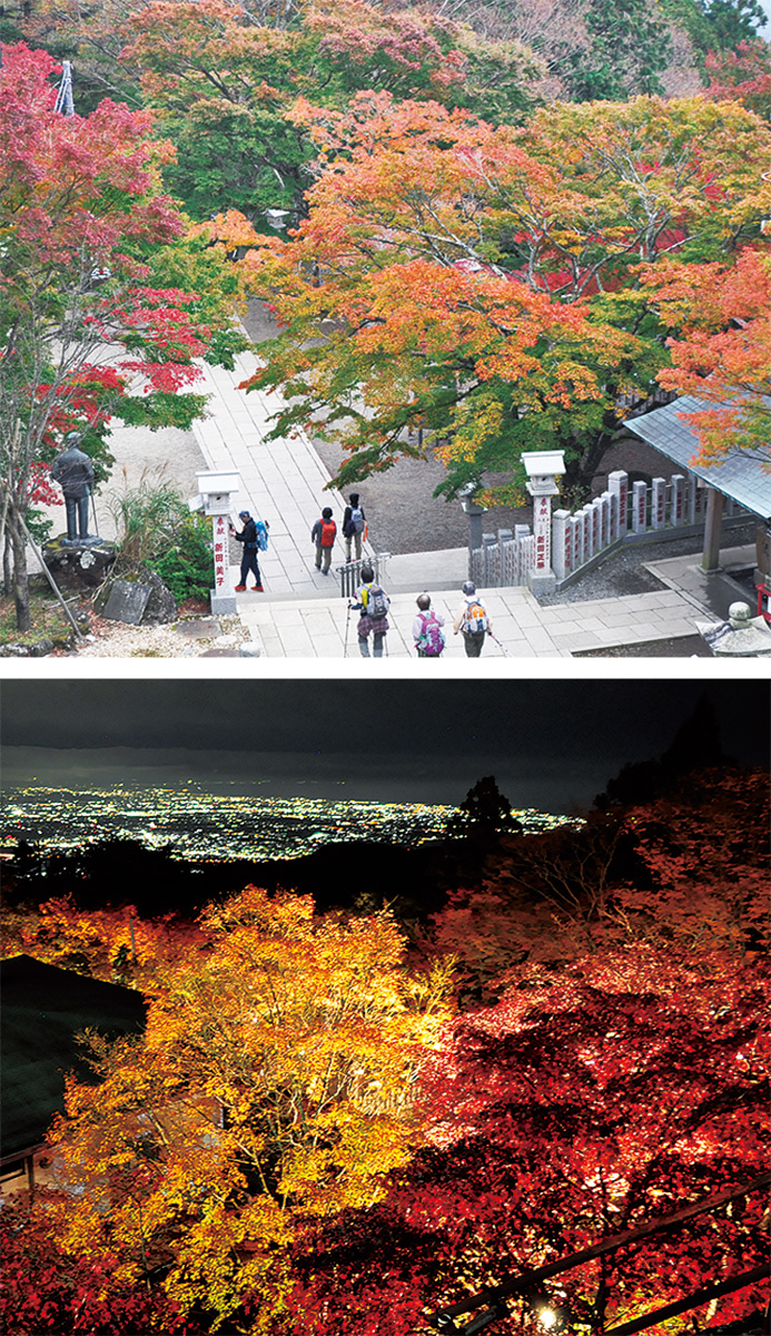 18年11月 伊勢原 タウンニュース 神奈川県全域 東京多摩地域の地域情報紙