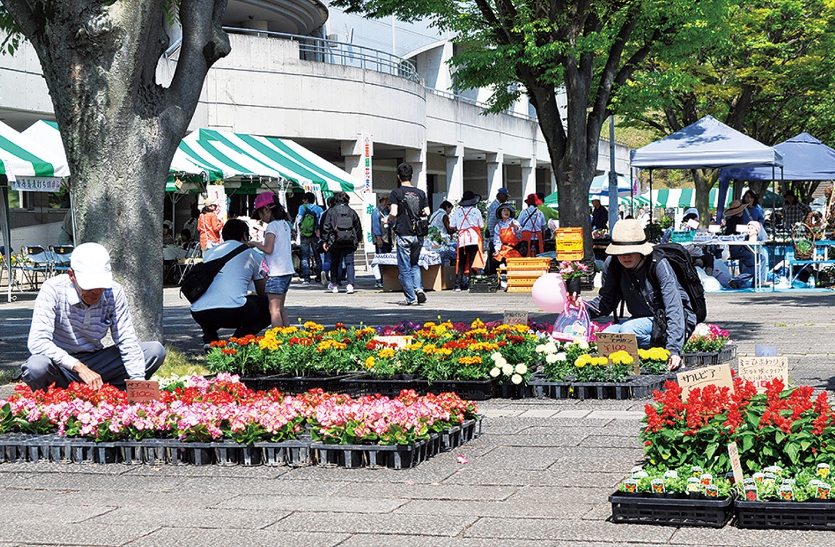 財団が主催していた緑花まつり（昨年の様子）