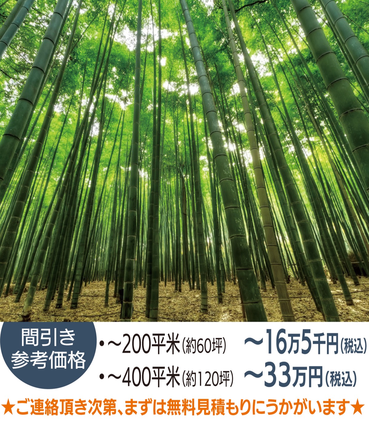 竹やぶを素敵な空間に変えます！