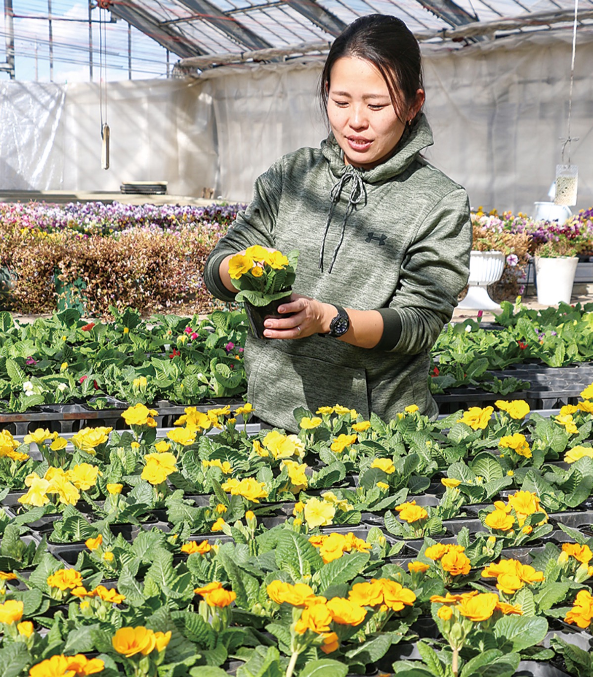 ｢春を感じてみませんか｣