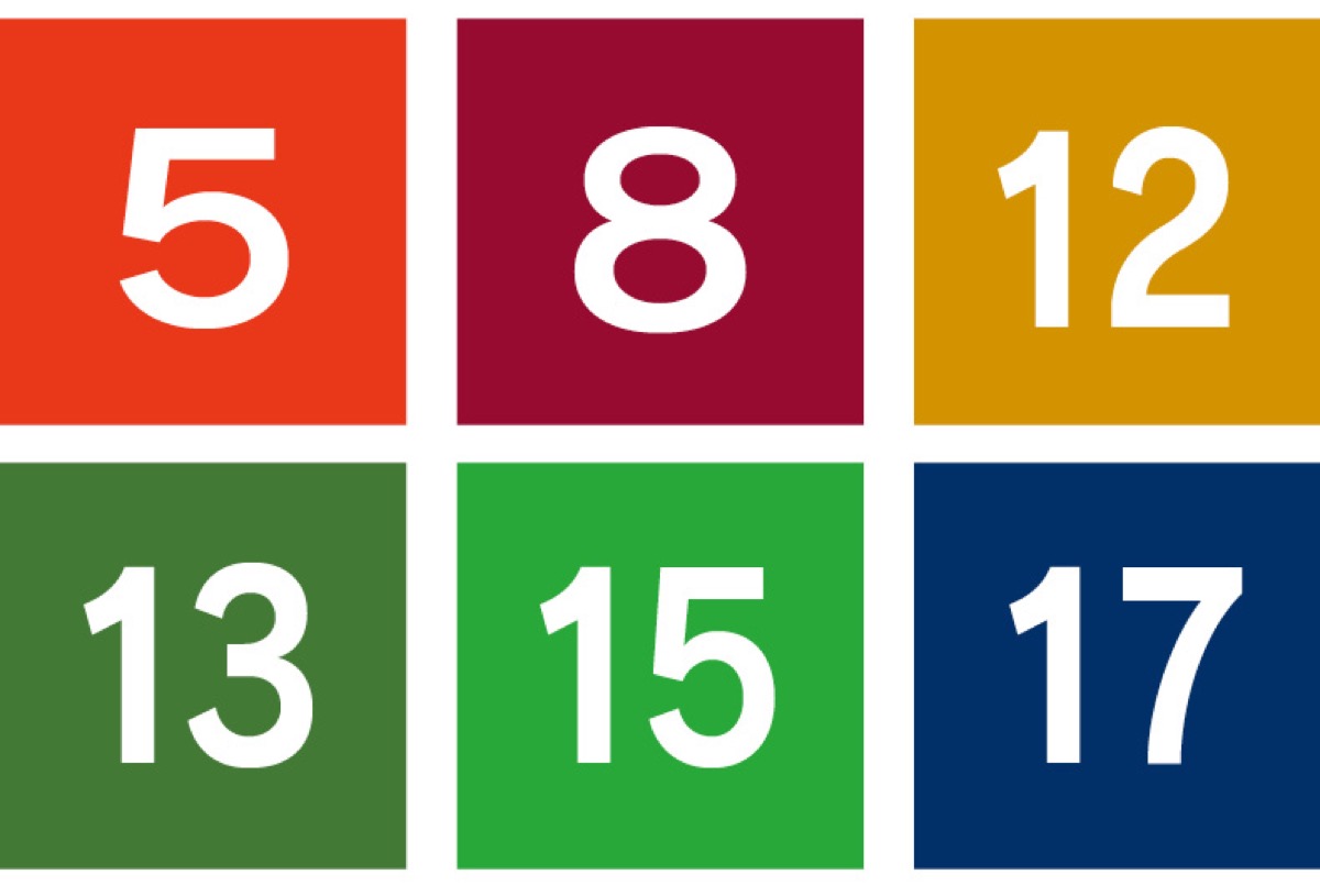 食ロス削減に奮闘 (写真2)