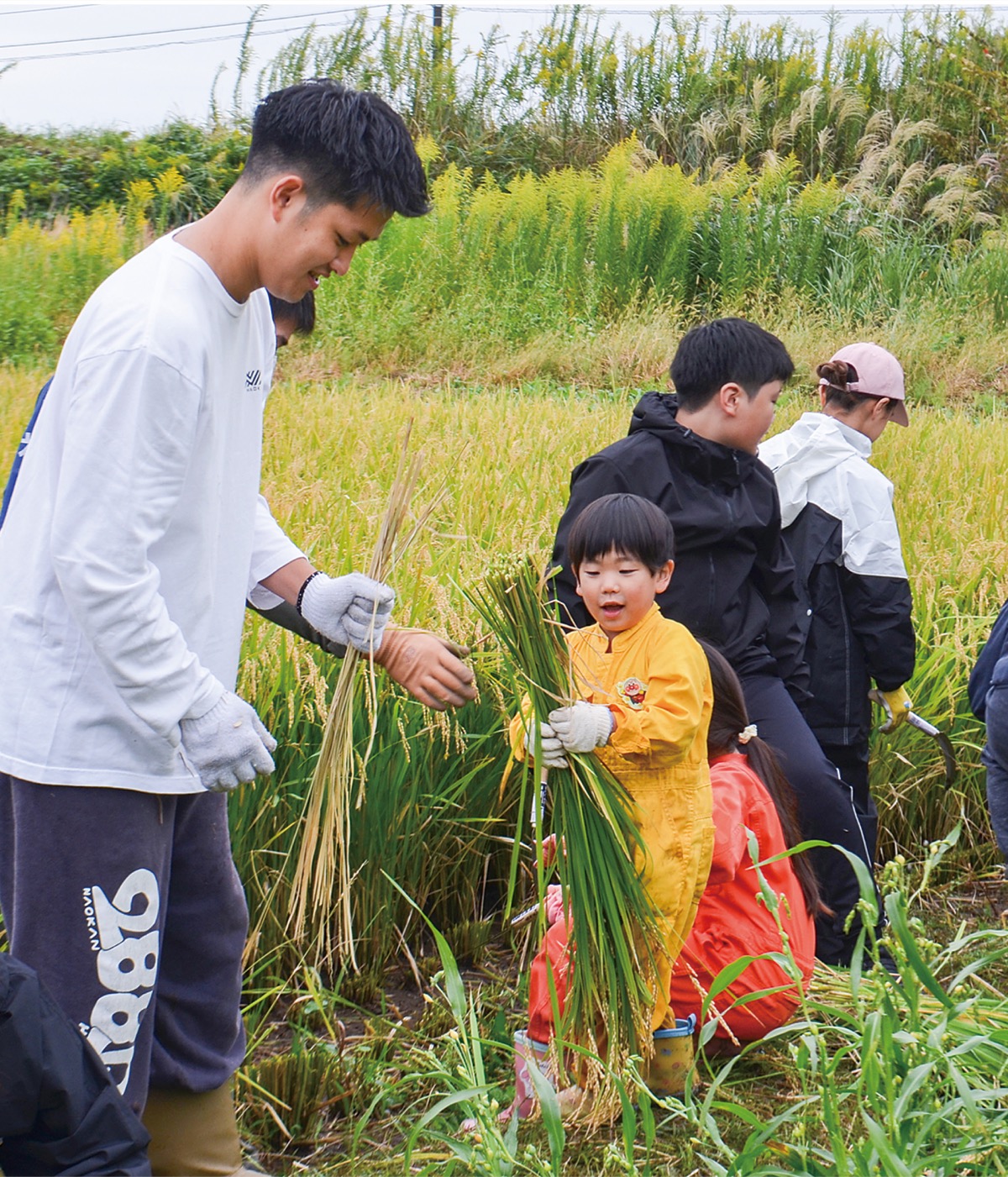 農家の苦労と努力に感謝