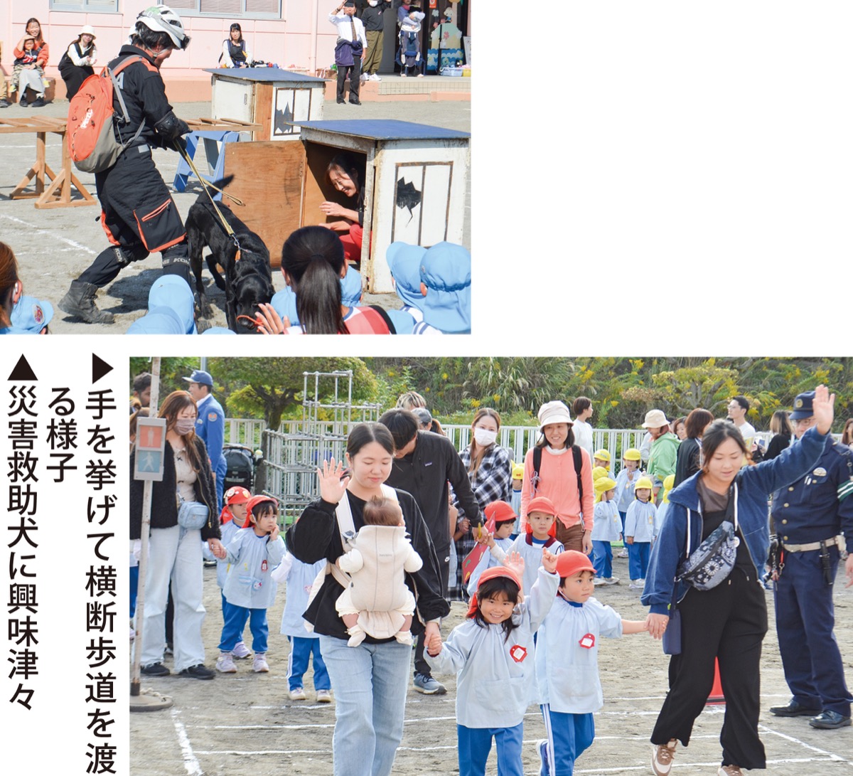 ｢横断歩道は左右見て｣