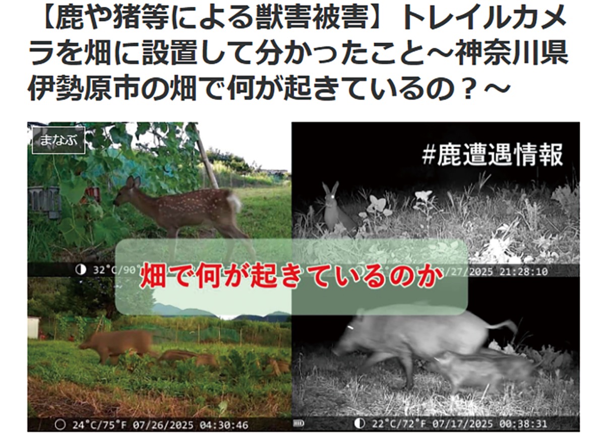 獣害被害の動画を公開中