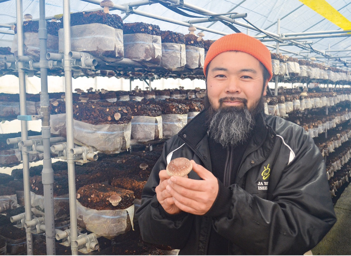 シイタケ生産が最盛期