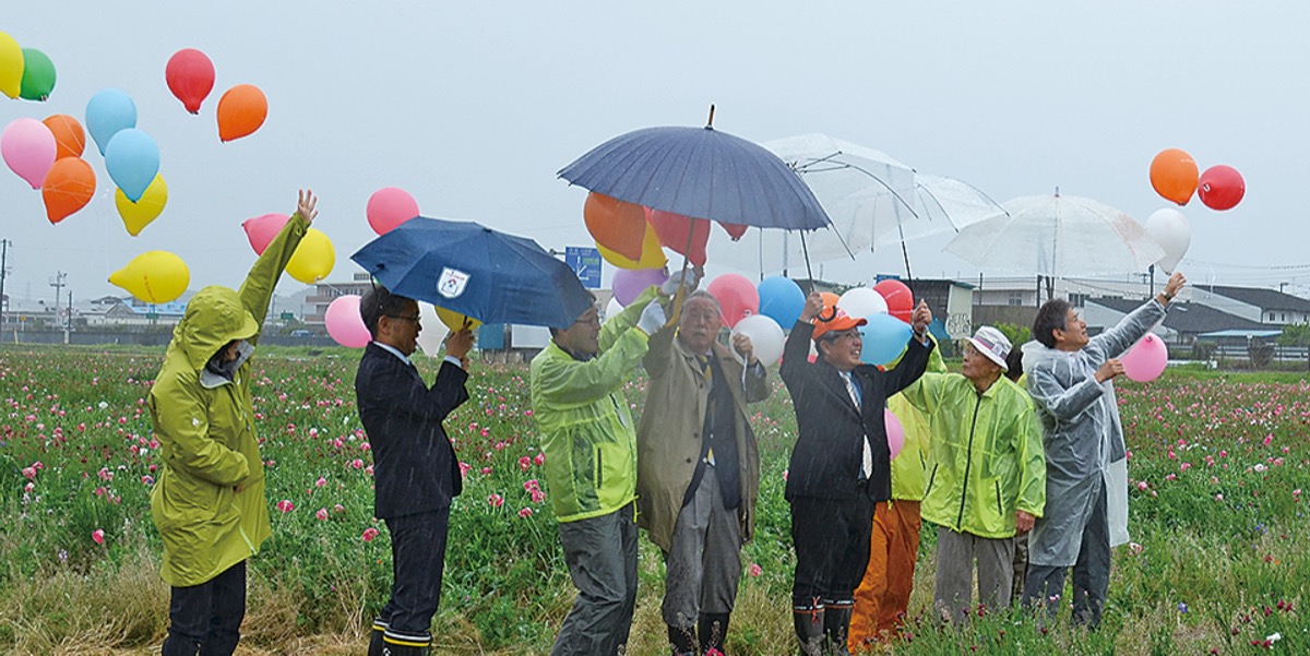花摘みに多くの人出が (写真2)